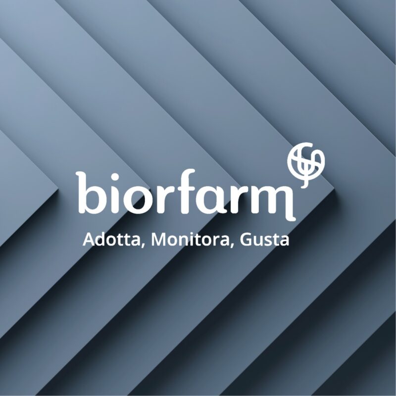 Arrow Global’s Partnership with Biorfarm